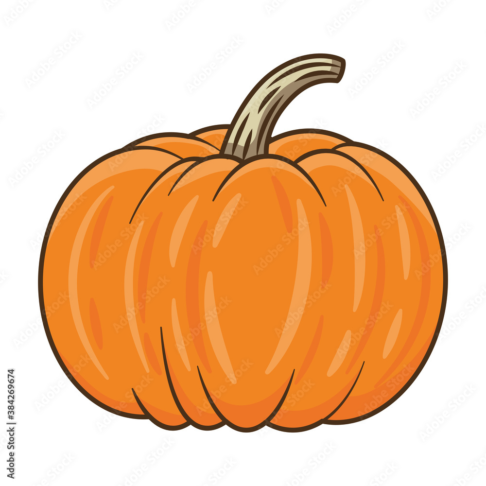 pumpkin autumn fruit seasonal icon pumpkin autumn fruit seasonal icon