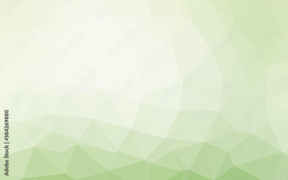 Obraz premium Light Green vector polygon abstract background.