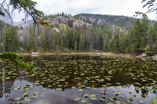 Fototapeta Naklejka Na Ścianę i Meble -  Nymph Lake in Rocky Mountain National Park Colorado
