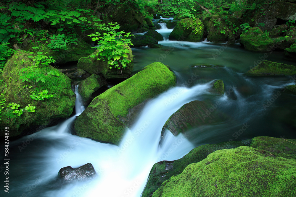 奥入瀬渓流