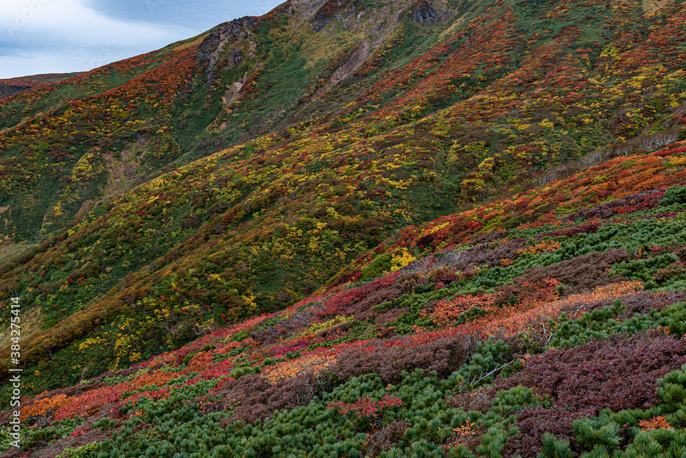 栗駒山の紅葉