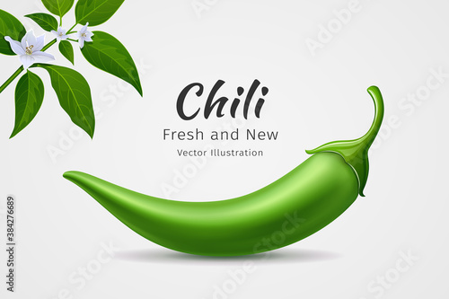 Chili peppers green fresh with leaves and flower chili realistic design, on white background, Eps 10 vector illustration