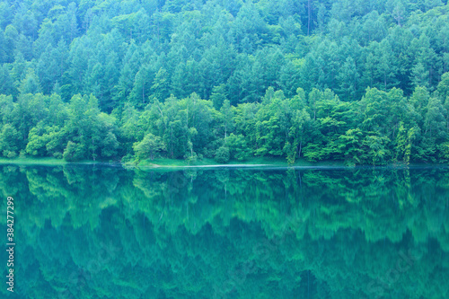 新緑の湖