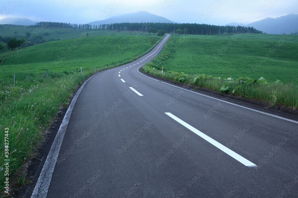 Fototapeta premium 青い夕暮れの一本道