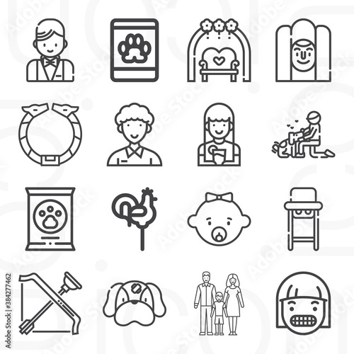 16 pack of lad  lineal web icons set
