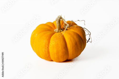 calabaza