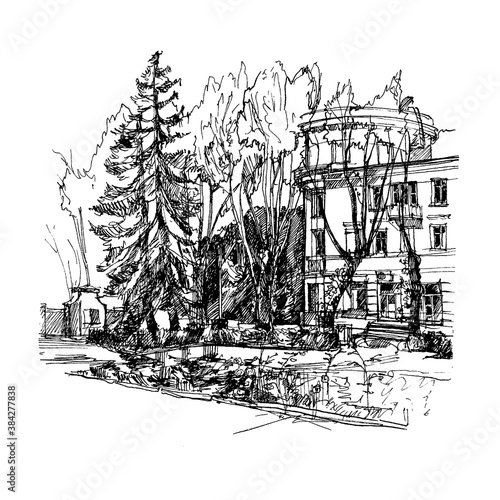 City Park, square, street. Graphic, naturalism. Drawing with a black liner on a white background. Trees, vegetation, buildings of urban and Park landscape. Square bitmap illustration.