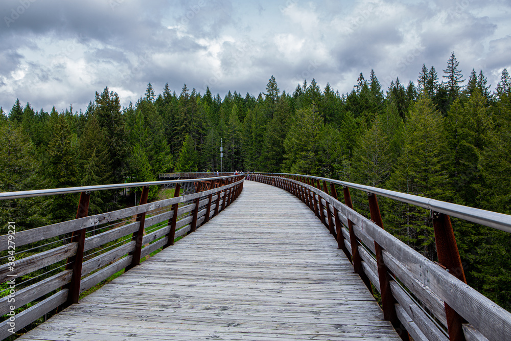 The Historic Kinsol Trestle, Cowichan Valley Trail in the Cowichan Region, Vancouver Island, British Colombia, Canada. The Historic Kinsol Trestle, Cowichan Valley Trail in the Cowichan Region, Vancouver Island, British Colombia, Canada.
