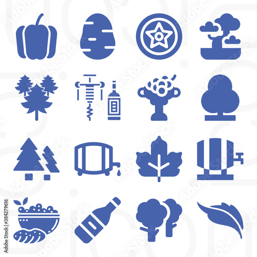 16 pack of vine  filled web icons set