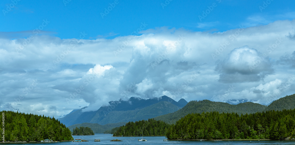 Tofino Harbour, Vancouver Island. British Columbia, Canada. Clayoquot Sound Inlets on background
