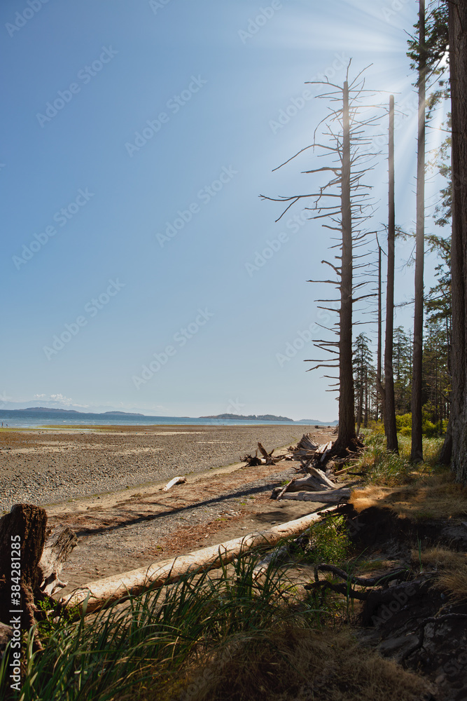 View of Rathtrevor Beach provincial park during low tide in Vancouver Island, BC, Canada
