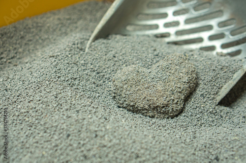 Cat litter tray used for excretion.