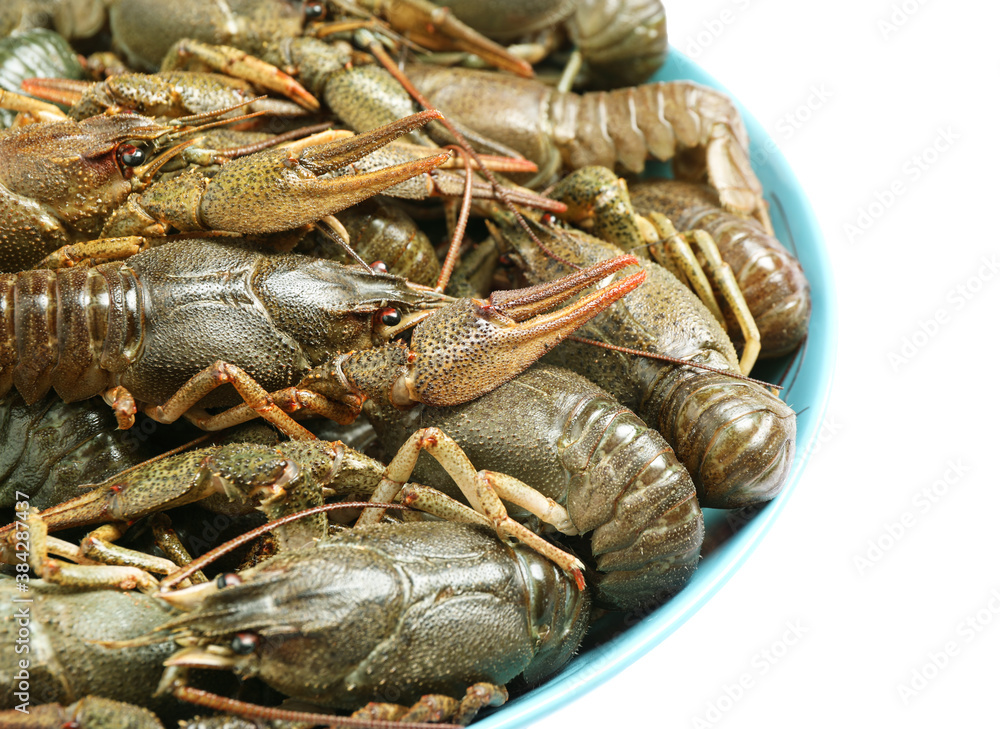 Bowl with fresh raw crayfishes isolated on white, closeup. Healthy seafood Bowl with fresh raw crayfishes isolated on white, closeup. Healthy seafood