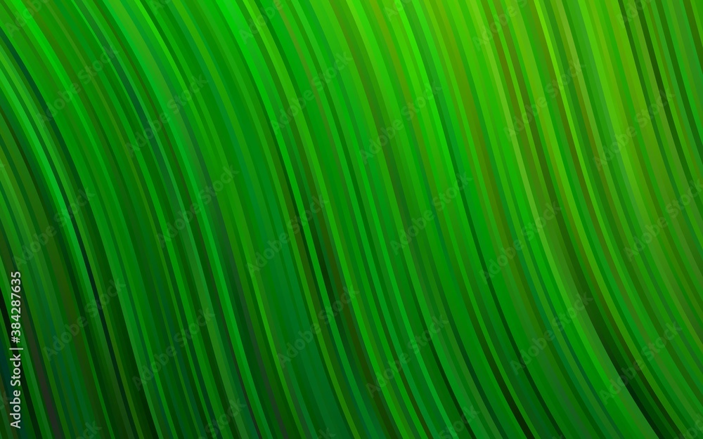 Light Green vector pattern with lines, ovals. Light Green vector pattern with lines, ovals.