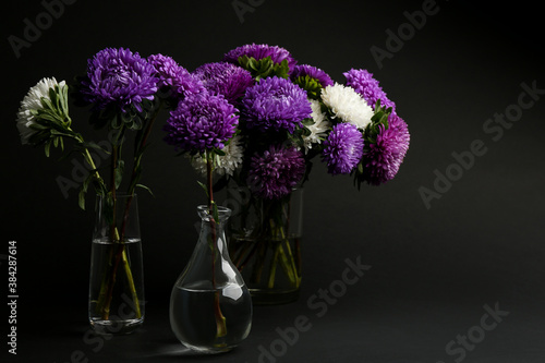 Beautiful asters in vases on black background. Autumn flowers