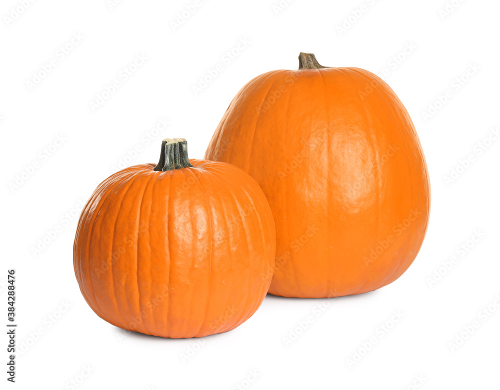 Obraz premium Fresh ripe pumpkins isolated on white. Organic plant