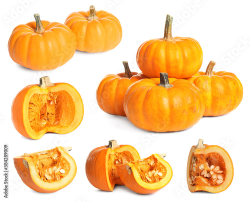 Set of fresh pumpkins on white background