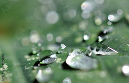 Wallpaper Mural Rain drops Torontodigital.ca