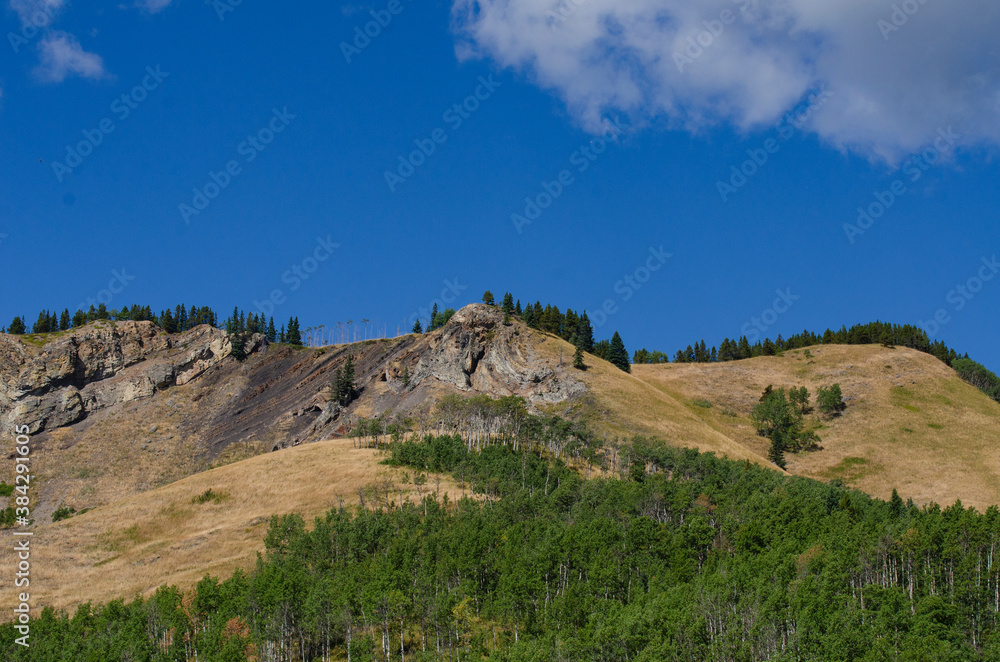 Treed Mountain Treed Mountain