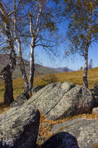 colorful autumn landscape in the foothills of altai