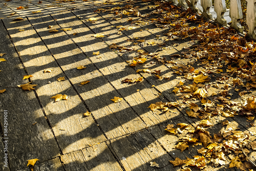 Obraz premium Autumn. Shadows on a wooden bridge. Autumn leaves on a sunny day lying on a wooden background.