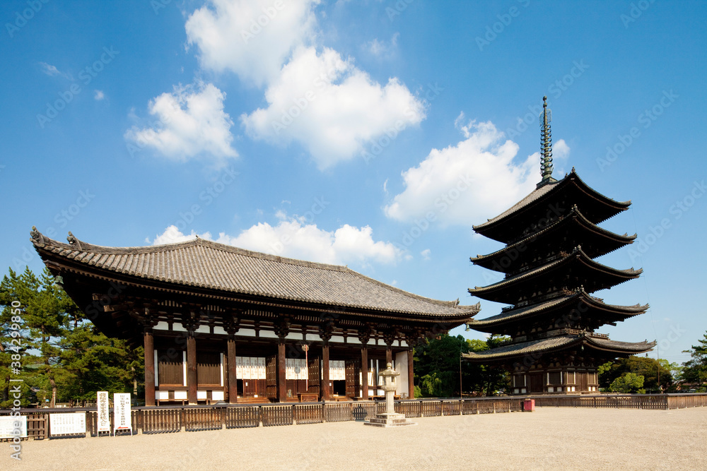 奈良県興福寺金堂と五重塔 奈良県興福寺金堂と五重塔