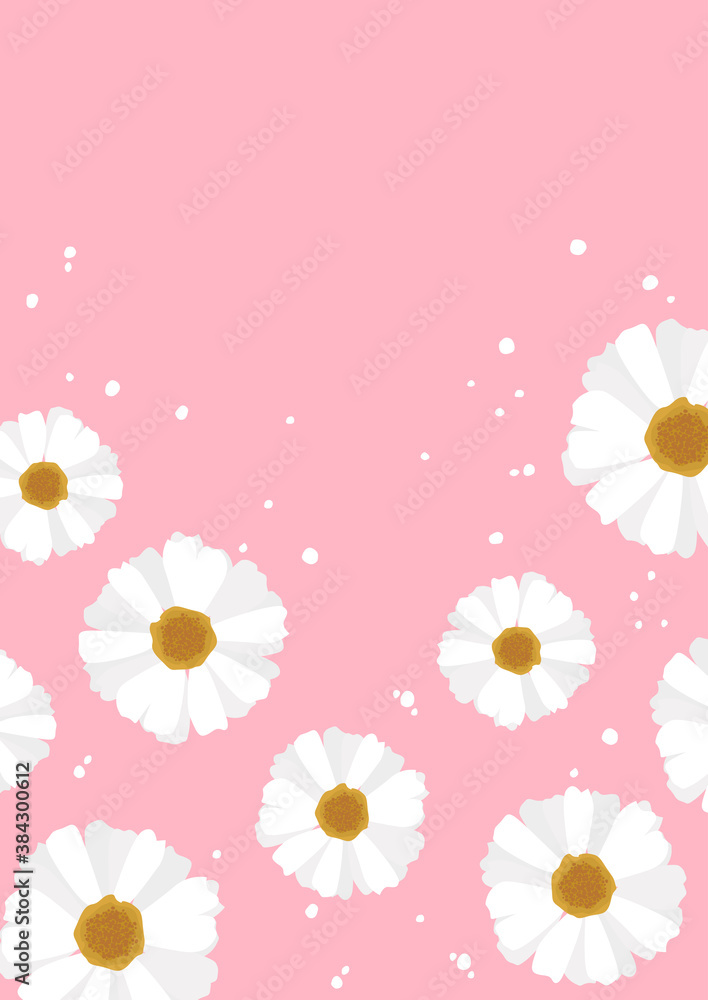 Cute white daisy flower border on pink background Cute white daisy flower border on pink background