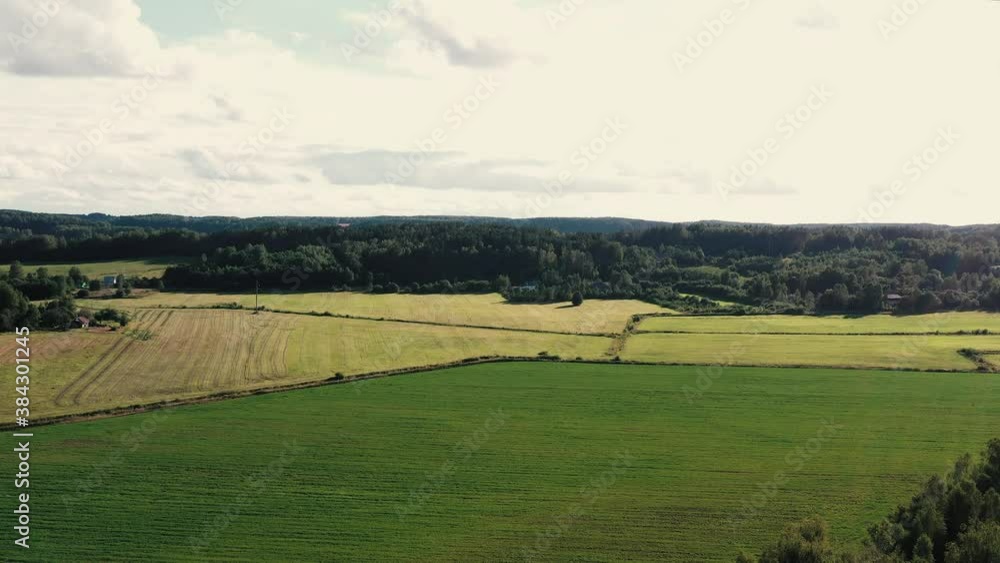 green field in the morning green field in the morning