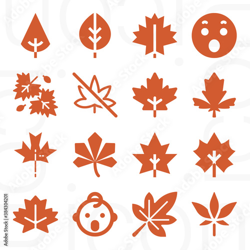 16 pack of maybe  filled web icons set