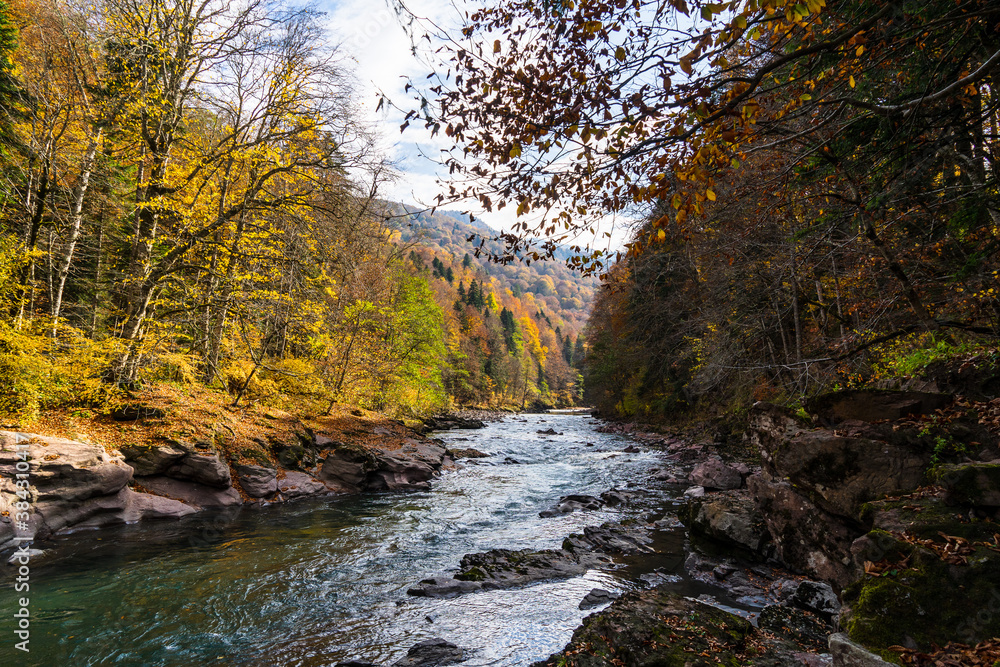 Clean mountain river in the autumn forest.