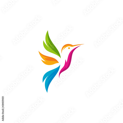 Modern colorful hummingbird logo illustration