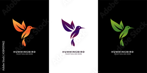 Modern colorful hummingbird logo illustration
