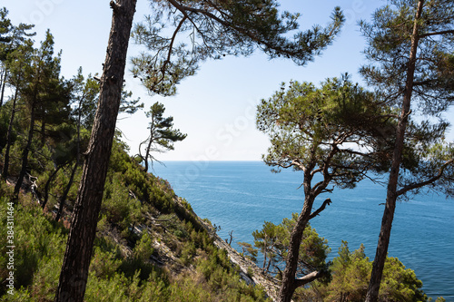 Beautiful summer landscape. View of the forest, rocks and sea coast. Hiking in scenic areas, the road to the wild beach and camping. The resort town of Gelendzhik. Russia, Black sea coast