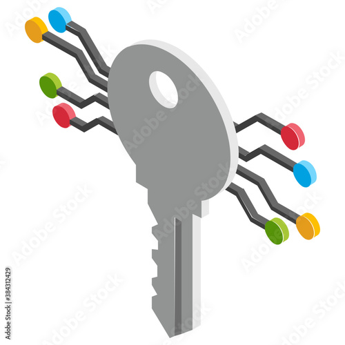 
A key with network showing cryptographic key 
