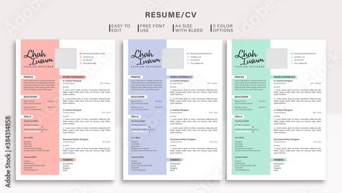 Modern Resume/CV Template with Colour Options 