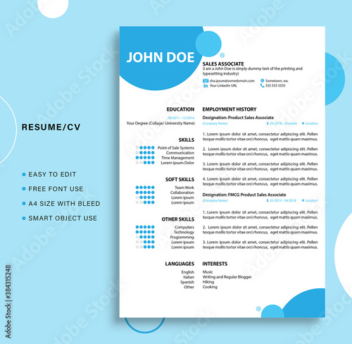 Professional Resume/CV Template 