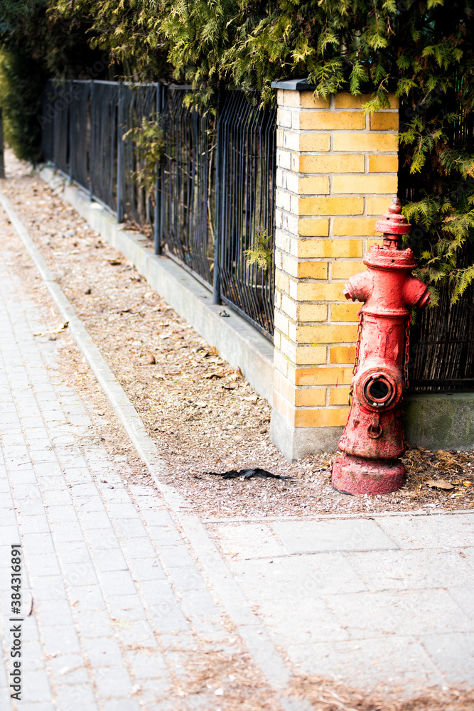 Obraz premium Red fireplug on the street - fire brigade, fire prevention