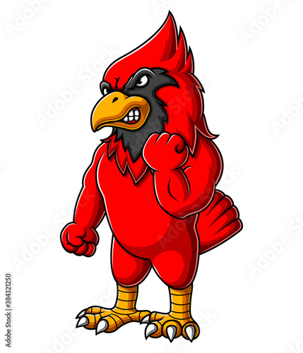 Angry cardinal bird cartoon