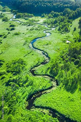 Stunning river and green swamps in summer, aerial view