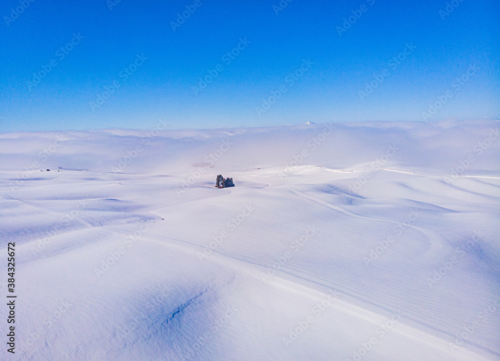 Amazing white hills, an incredible drawing of the earth. Steptoe Butte State Park, Eastern Washington, in the northwest United States.