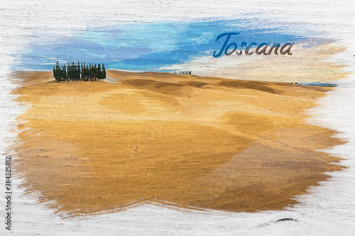Tuscany cypresses on field,...