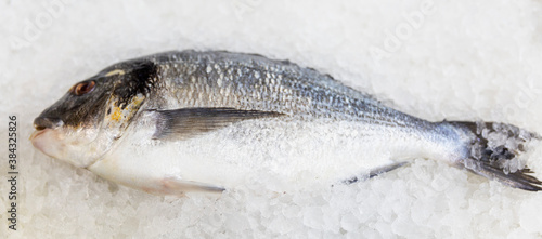 Fresh fish on ice on the counter in the store. Healthy eating. Panorama format.