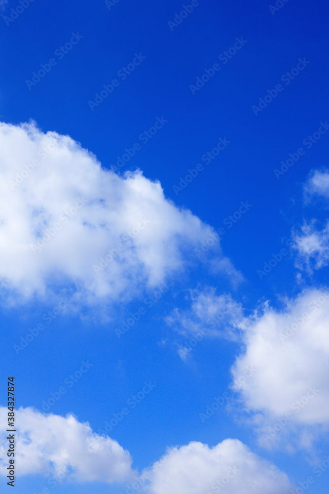 Obraz premium 青空