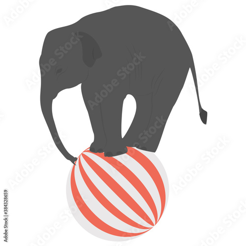 
An elephant with ball showing elephant circus 
