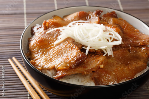 Delicious Japanese fried pork in a slightly sweet sauce, served on top of rice close-up in a bowl on the table. horizontal photo