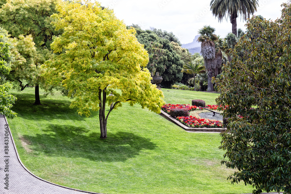 Obraz premium View of a section of the Royal Tasmania Botanical Gardens
