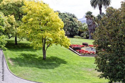 View of a section of the Royal Tasmania Botanical Gardens