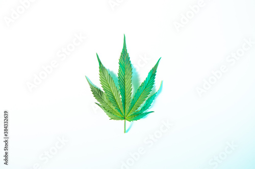 Green hemp leaf on white studio background in neon light, top view. Medical marijuana