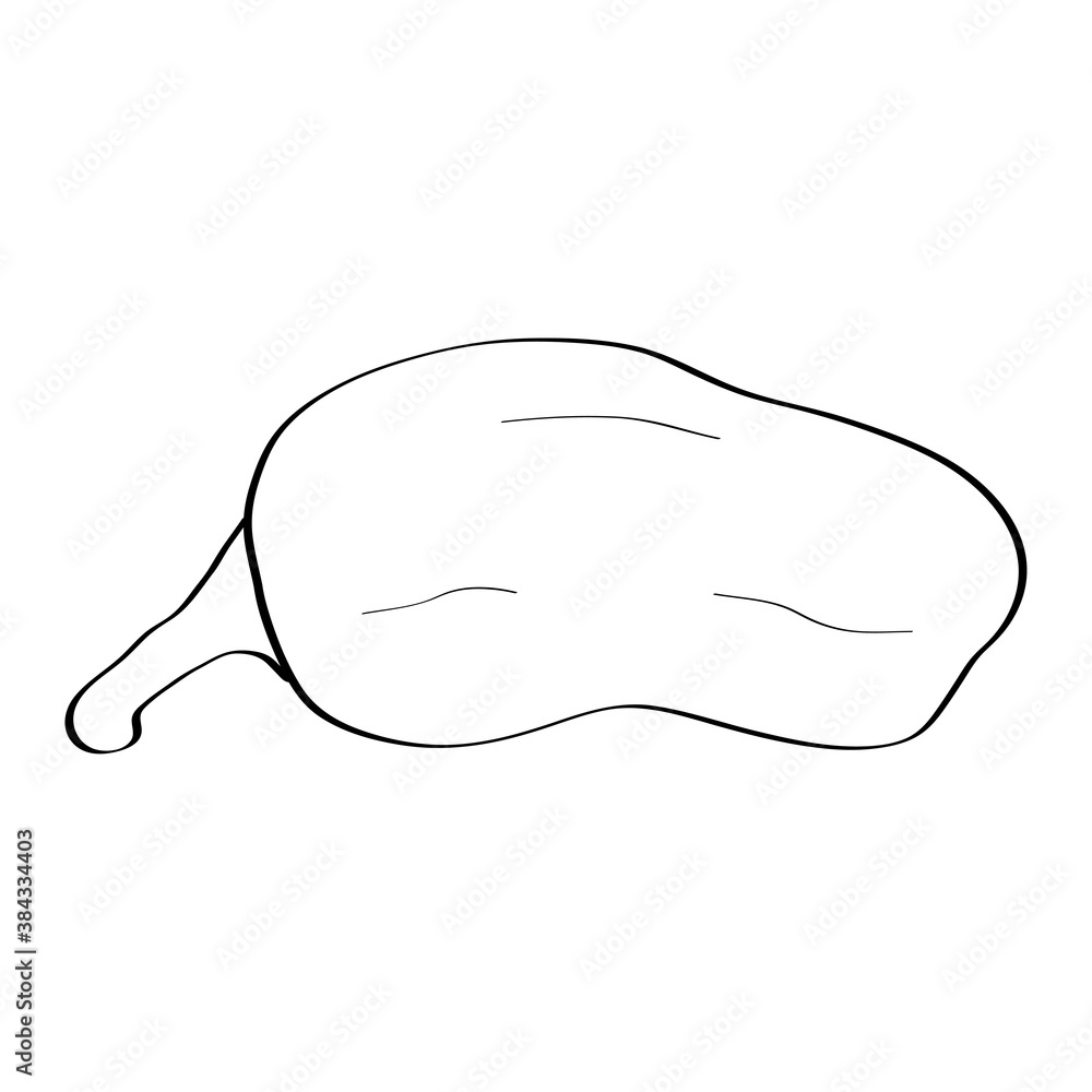 Pepper. Hand drawn doodle icon. Vector black and white illustration isolated on white background. Decoration for greeting cards, posters, patches, prints for clothes, emblems. Pepper. Hand drawn doodle icon. Vector black and white illustration isolated on white background. Decoration for greeting cards, posters, patches, prints for clothes, emblems.