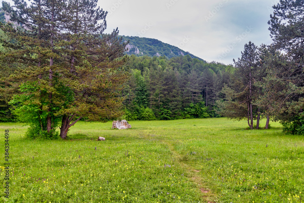Stone of love at Ozren mountain is a large and single boulder in the middle of the vast meadow